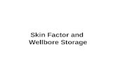 07-Skin Factor and Wellbore Storage