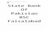 Project on state bank of pakistan