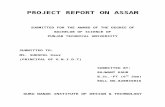 ASSAM PROJECT REPORT.docx