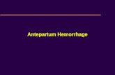 07 - Antepartum Hemorrhage