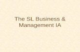 Business Management IB Internal Assessment IA SL