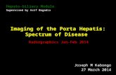 Imaging of the Porta Hepatis