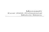 Manual Excel 2000