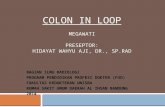 colon in loop