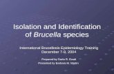 Isolation and Identification of Brucella species.ppt