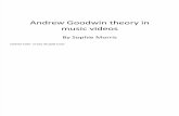 Andrew Goodwin Analysis