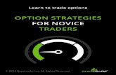 Option Strategies for Novice Traders