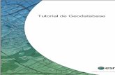Tutorial Building a Geodatabase