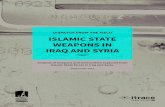 Islamic State Weapons in Iraq & Syria