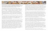 Dzongsar Jamyang Khyentse Rinpoche The Wheel of Life and 12 Interdependent Links