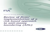 Fsa Aml Implementation Review