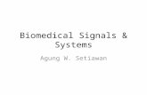 Biomedical Signals & Systems