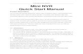 Mini NVR Quick Start Manual