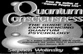 Stephen Wolinsky - Quantum Consciousness