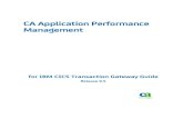 APM_9.5--APM for IBM CICS Transaction Gateway Guide