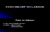 PAIN RELIEF IN LABOUR.ppt