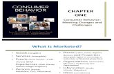 Consumer Behavior:  Meeting Changes and Challenges