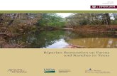 Riparian Restoration on Farms and Ranches in Texas