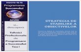 Strategia de Stabilire a Obiectivelor