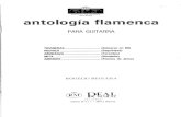 Rogelio Reguera, Antologia Flamenca 1 guitarra
