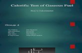 Calorific Test of Gaseous Fuel