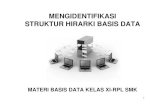 Struktur Hierarki Basis Data