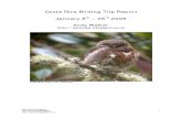 Costa Rica Birding Trip Report 2