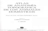 1) Popesko Peter - Atlas de Anatomia Topografica de Los Animales Domesticos T1[1]
