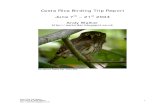 Costa Rica Birding Trip Report 1