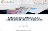 Sap Credit Management (FSCM) Overview