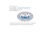 CSE 231 Lab Report
