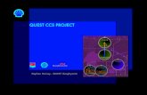 Shell Quest CCS Project