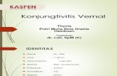 Konjungtivitis Vernal (2)