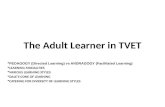 The Adult Learner in TVET