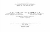 UChile - Manual Cirugia Occ
