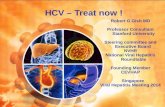 HCV Treat Now Singapore 2014