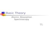 AAS Basic Theory