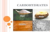 SBI4U Intro to Carbohydrates