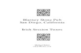 Blarney Stone Pub - Irish Session Tunes - Violin(Fiddle) or Flute
