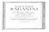 IMSLP54477-PMLP112640-Paganini Nicolo - Centone Di Sonate 6 Sonatas. Scharz-Reigflingen - Guitar Part