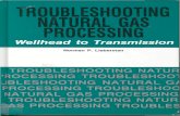 Troubleshooting Natural Gas Processing - Lieberman