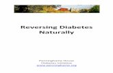 How to Reverse Diabetes eBook