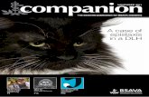 Companion November2011