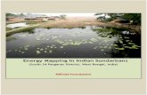 Mlinda Sundarbans Study - Final Report - 29 Apr 2013