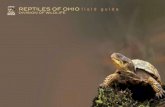 Wild Ohio 2009 Reptiles
