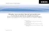 Data Security Best Practices--A Practical Guide to Implementing Data Encryption for InfoSphere BigInsights--Issued--June 2013--(IBM Corporation)