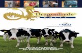 Dragonhyde Putty Brochure