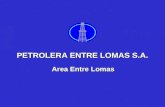 Entre Lomas Oil_Gas Field