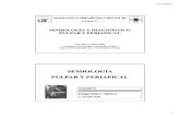 Leccion 3. Semiologia. Diagnostico Pulpar y Periapical-2013-14(2)