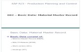 Material Master Record